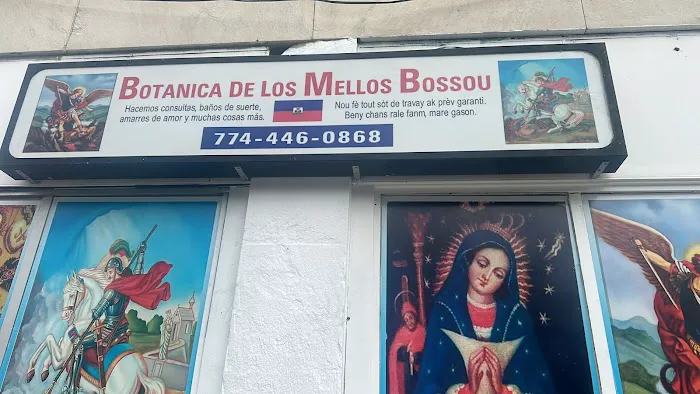 botanica de los mellos bossou 2