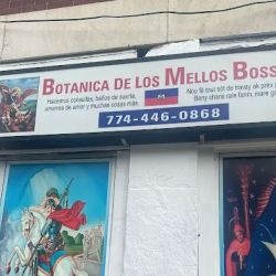 botanica de los mellos bossou ico