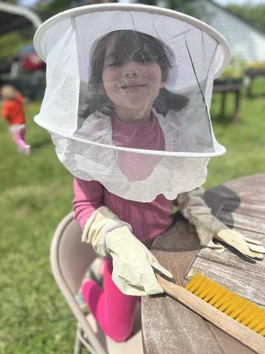 Dandelion Springs Apiary 1