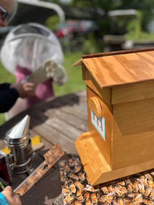 Dandelion Springs Apiary 4