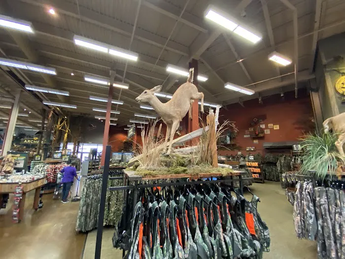 Bass Pro Shops 4