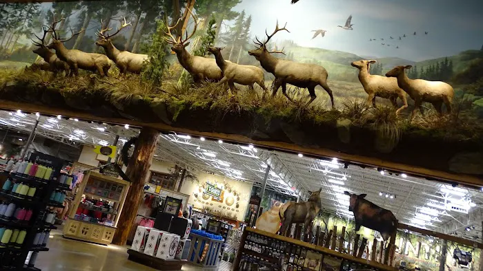 Bass Pro Shops 4