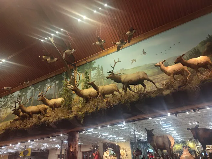 Bass Pro Shops 5