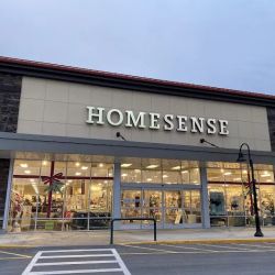 Homesense ico