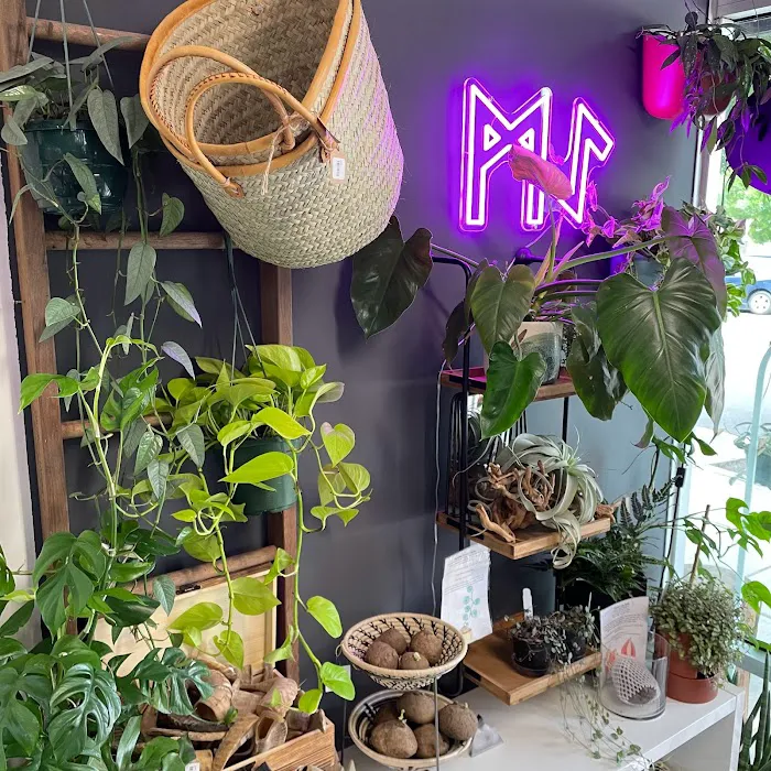 MI Home Nest - Plant & Crystal Shop 0