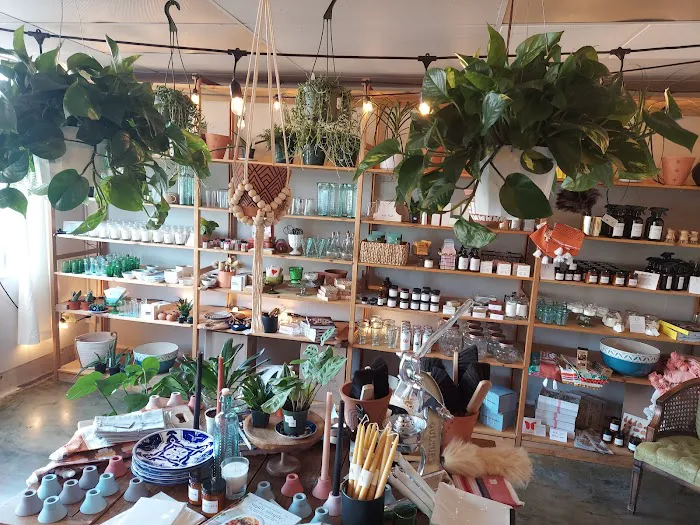 Vida Verde Home Mercantile and Candle Shop 7