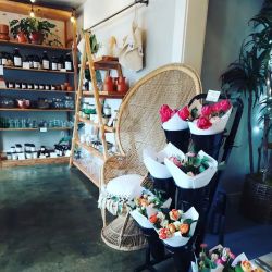 Vida Verde Home Mercantile and Candle Shop ico