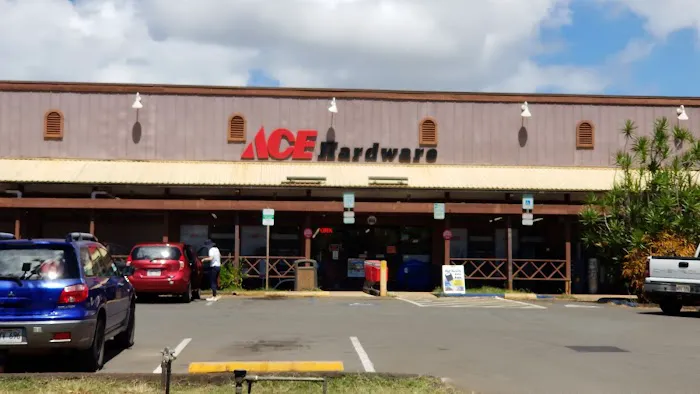 Pioneer Ace Hardware 9