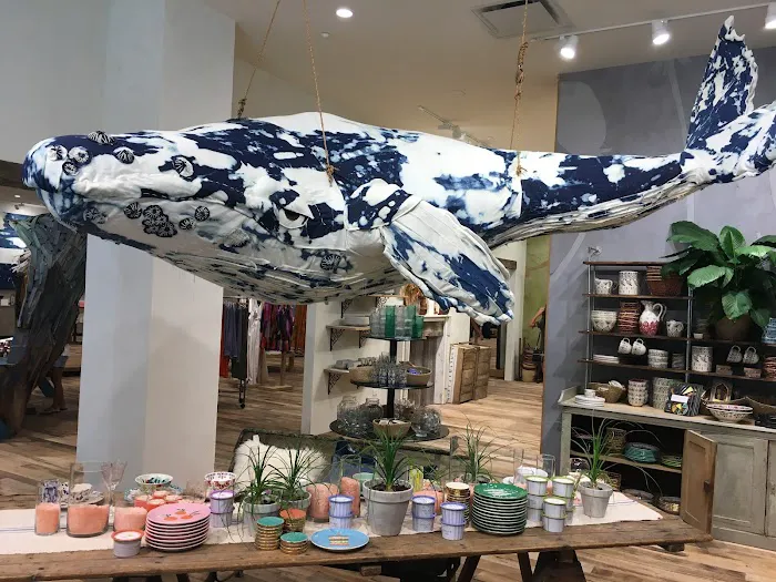 Anthropologie 7