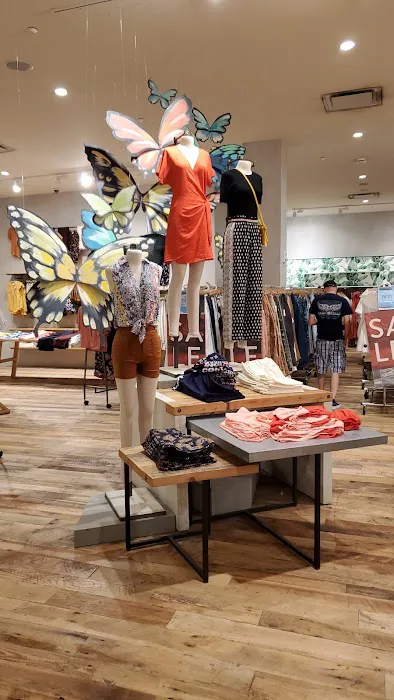 Anthropologie 6