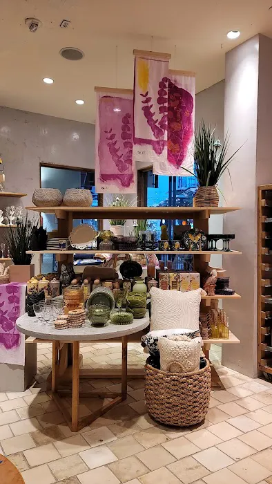 Anthropologie 1