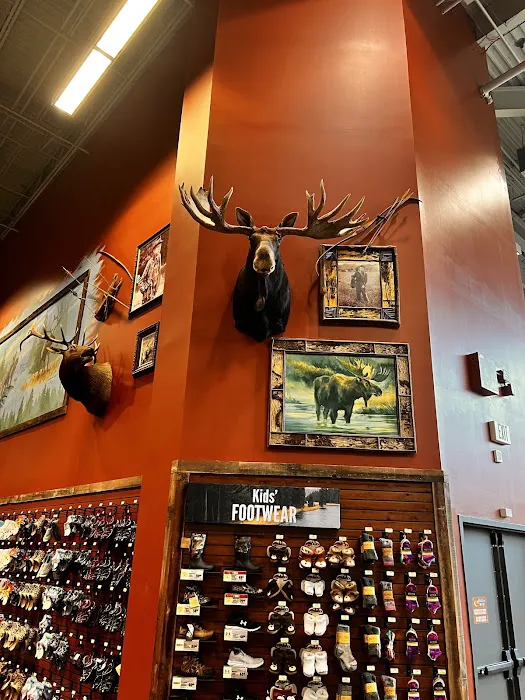 Bass Pro Shops 6