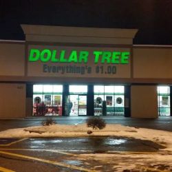 Dollar Tree ico