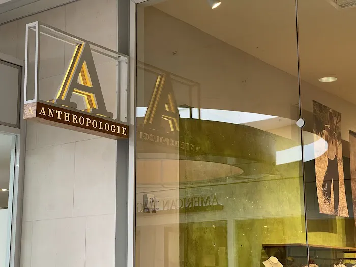 Anthropologie 1