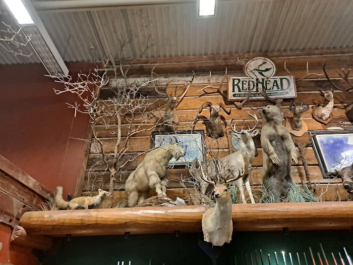 Bass Pro Shops 5