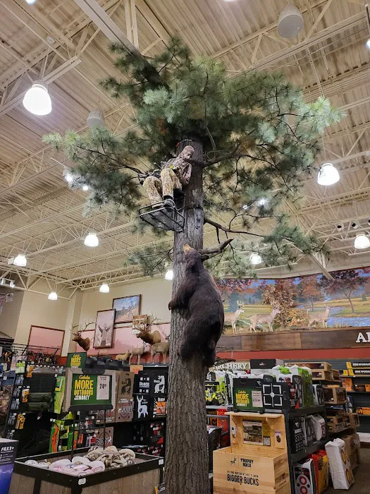 Cabela's 3