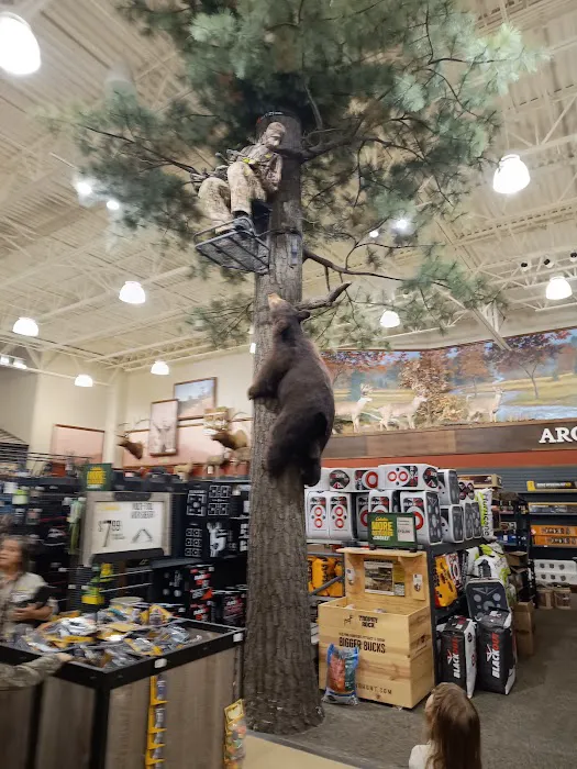 Cabela's 8