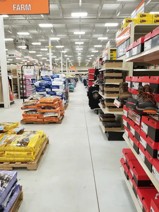 Fleet Farm 2