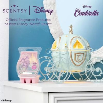 503wax - Ashlee Christensen - independent scentsy director