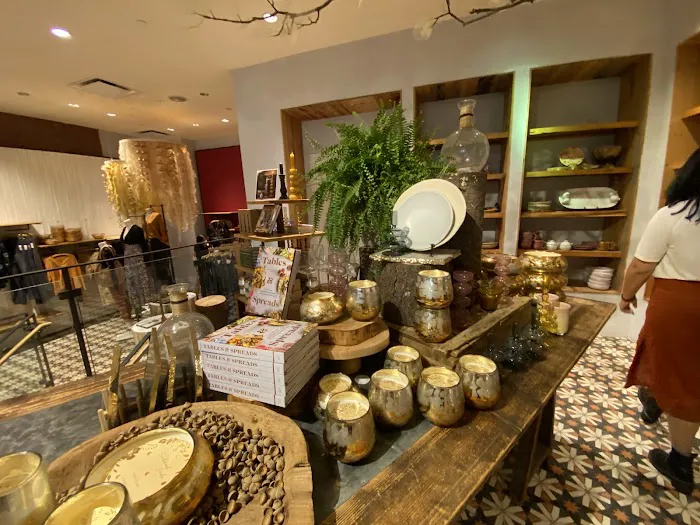 Anthropologie 6