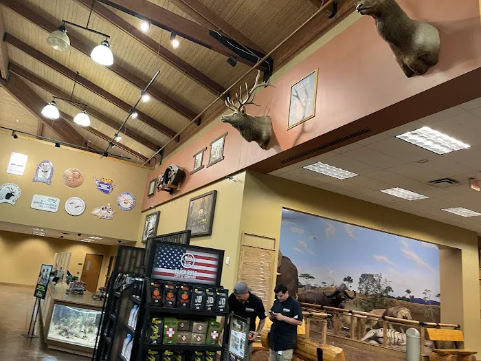 Bass Pro Shops 6