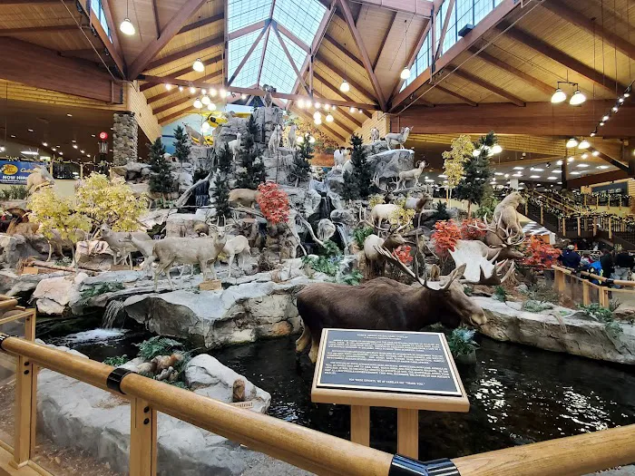 Cabela's 7