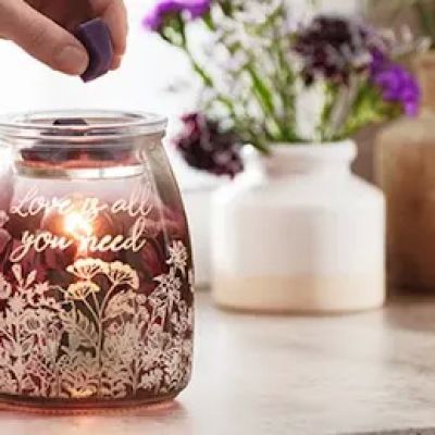 Machael Brown, Independent Scentsy Director ufe0f ufe0f ufe0f ufe0f ufe0f