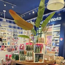 Bath & Body Works ico