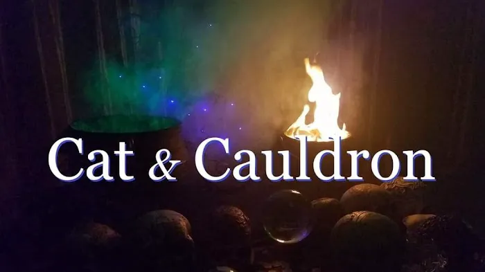 Cat & Cauldron 5