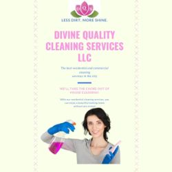 Divine Quality Services LLC ico