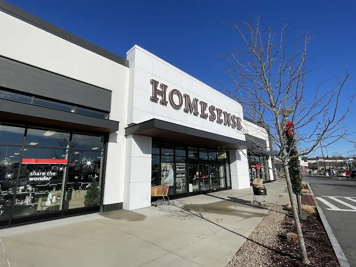 Homesense 2