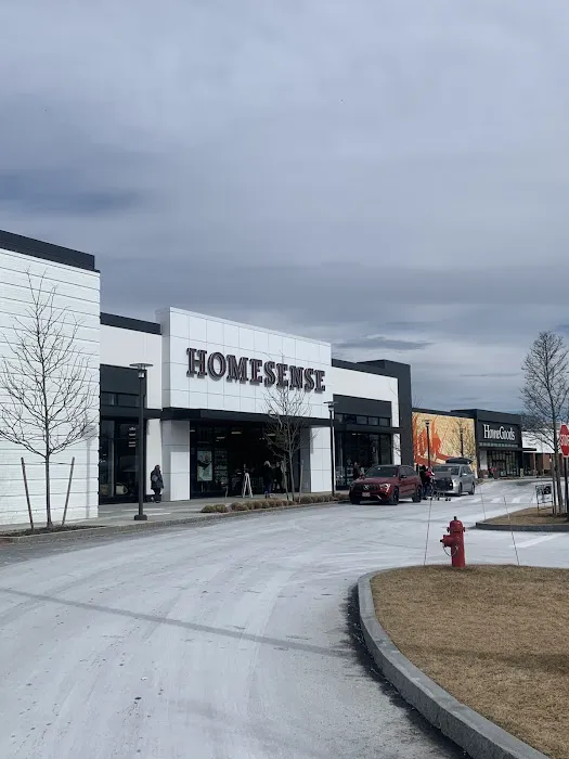 Homesense 1