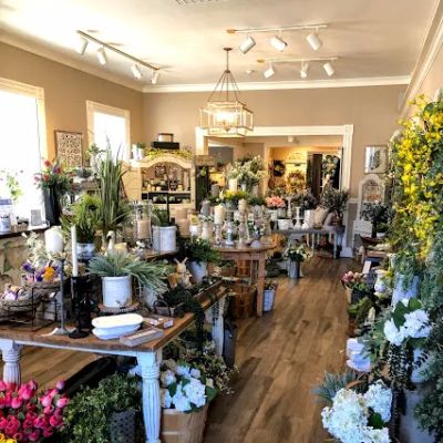 Hydrangea Home Decor
