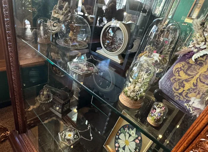 Curio Cabinet of the Hudson Valley 7