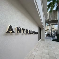 Anthropologie ico