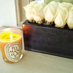 Pleasure Scented Candles ico