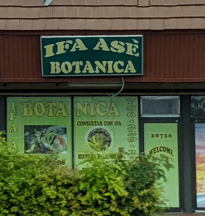 Botanica Ifa Ase 4