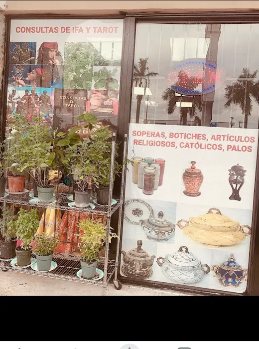 BOTANICA LA MARINA 6