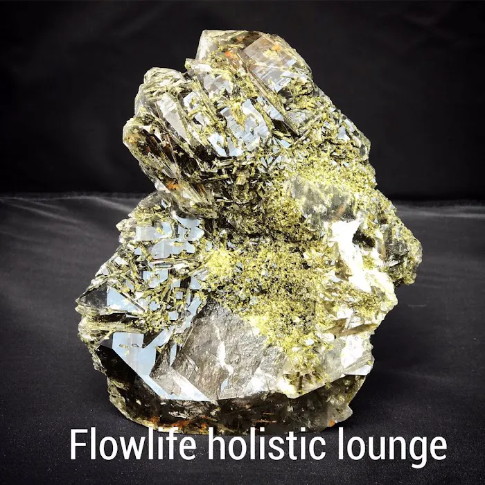 Flowlife Holistic Lounge 6