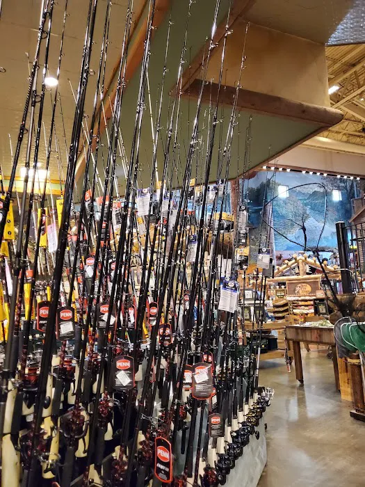 Bass Pro Shops 3