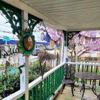 Eclectic By Nature