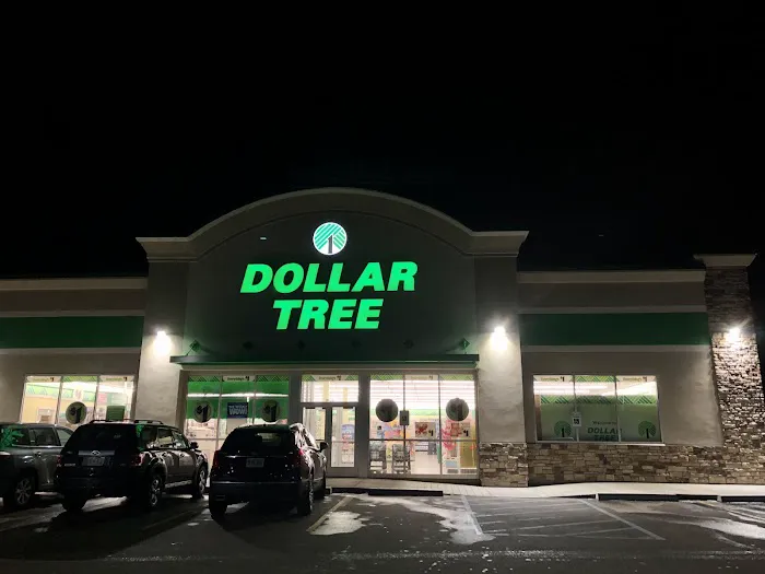 Dollar Tree 6