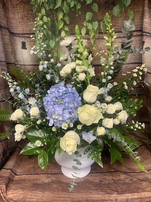 Bloom with Grace (formerly Claiborne's Florist) 5