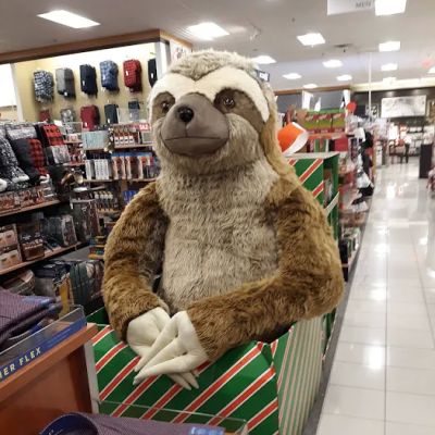 Kohl's