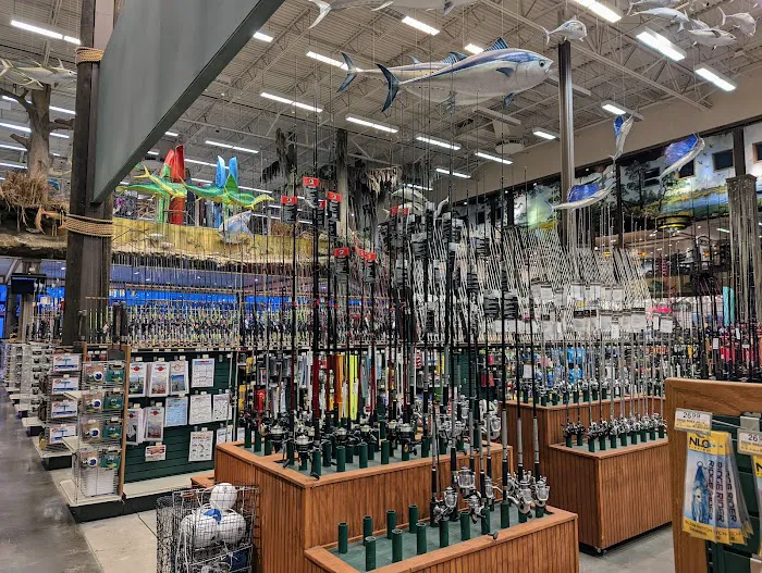 Bass Pro Shops 4