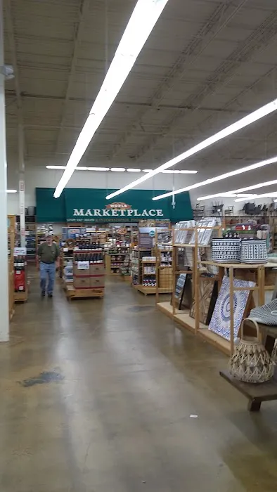 World Market 7