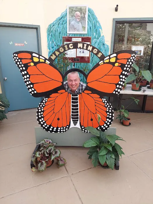 Magic Wings Butterfly Conservatory 5