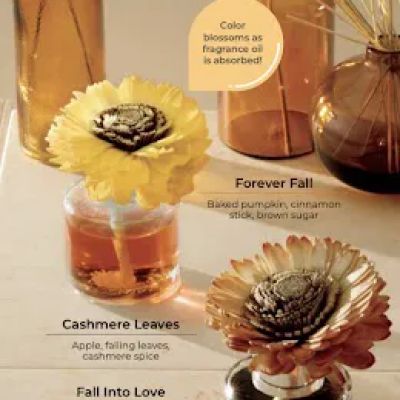 Lisa C Independent Scentsy Consultant