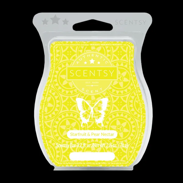 Brandy Carley Scentsy Independent Consultant 2