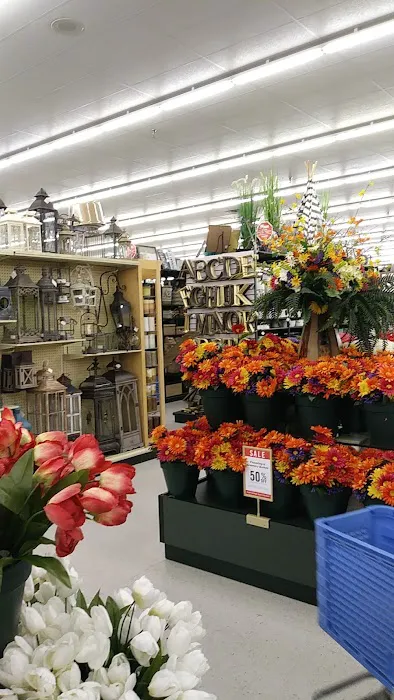 Hobby Lobby 6